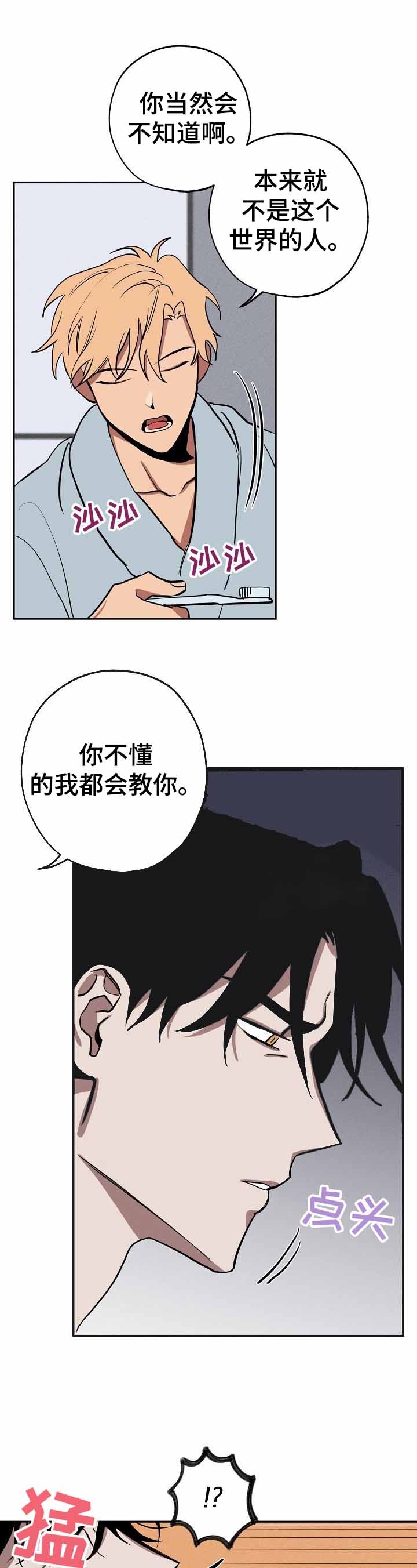 《金星的轨迹》漫画最新章节第27话免费下拉式在线观看章节第【9】张图片