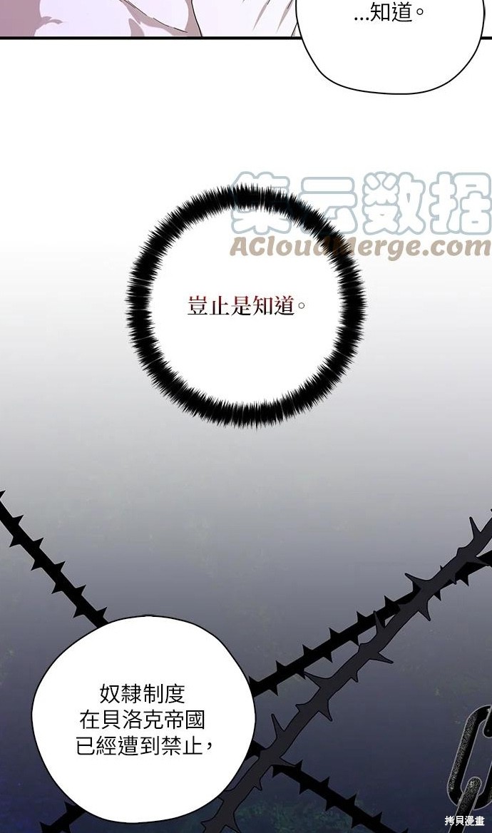 《我有三个暴君哥哥》漫画最新章节第55话免费下拉式在线观看章节第【33】张图片