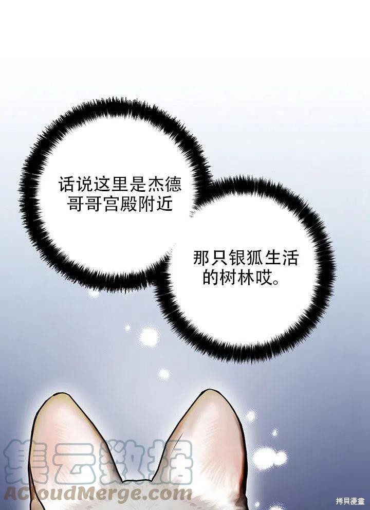 《我有三个暴君哥哥》漫画最新章节第38话 试看版免费下拉式在线观看章节第【13】张图片