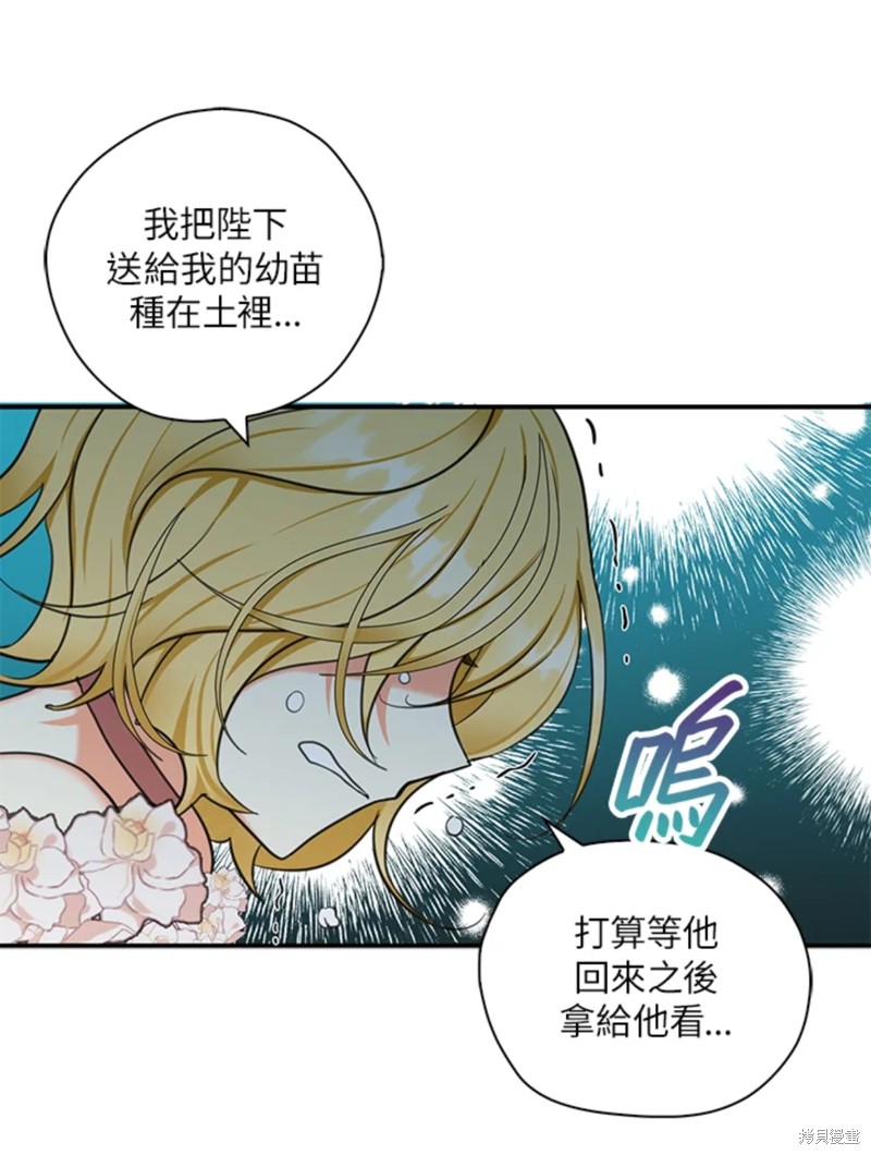 《我有三个暴君哥哥》漫画最新章节第42话 试看版免费下拉式在线观看章节第【18】张图片