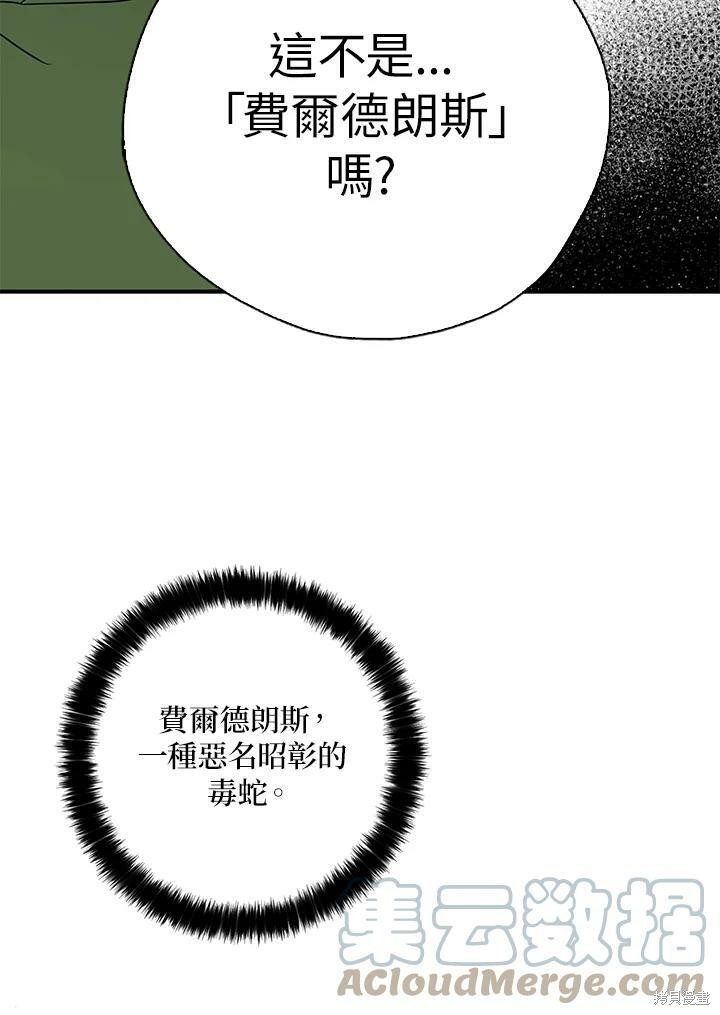 《我有三个暴君哥哥》漫画最新章节第72话免费下拉式在线观看章节第【85】张图片