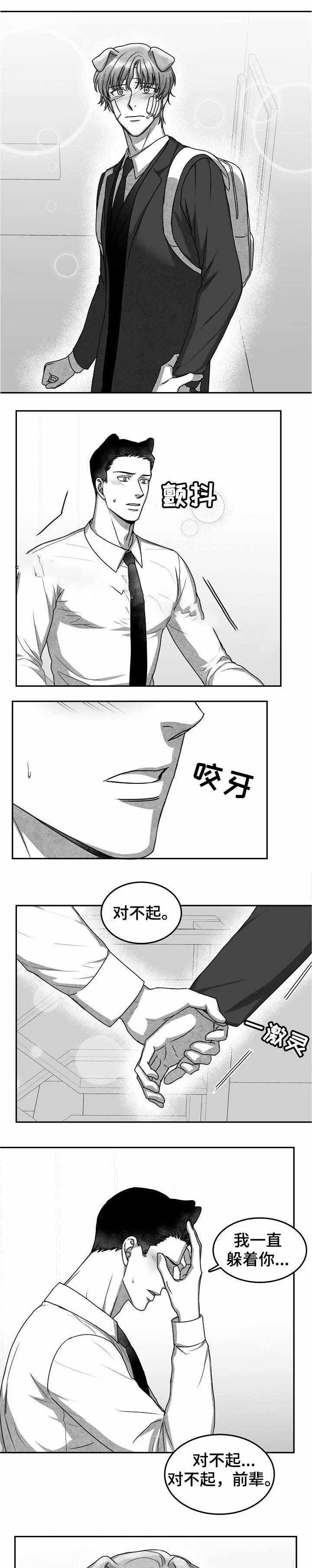 《为爱而狂》漫画最新章节第31话免费下拉式在线观看章节第【3】张图片