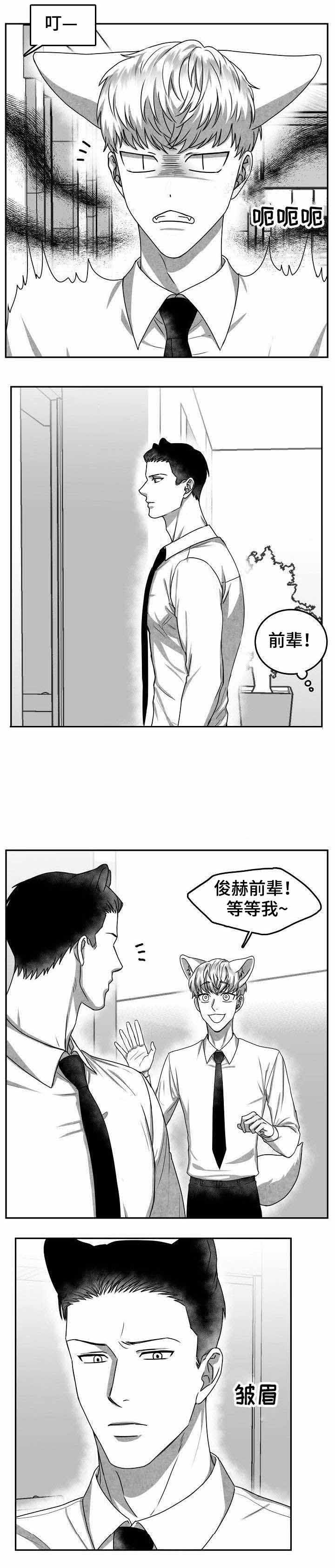 《为爱而狂》漫画最新章节第28话免费下拉式在线观看章节第【3】张图片