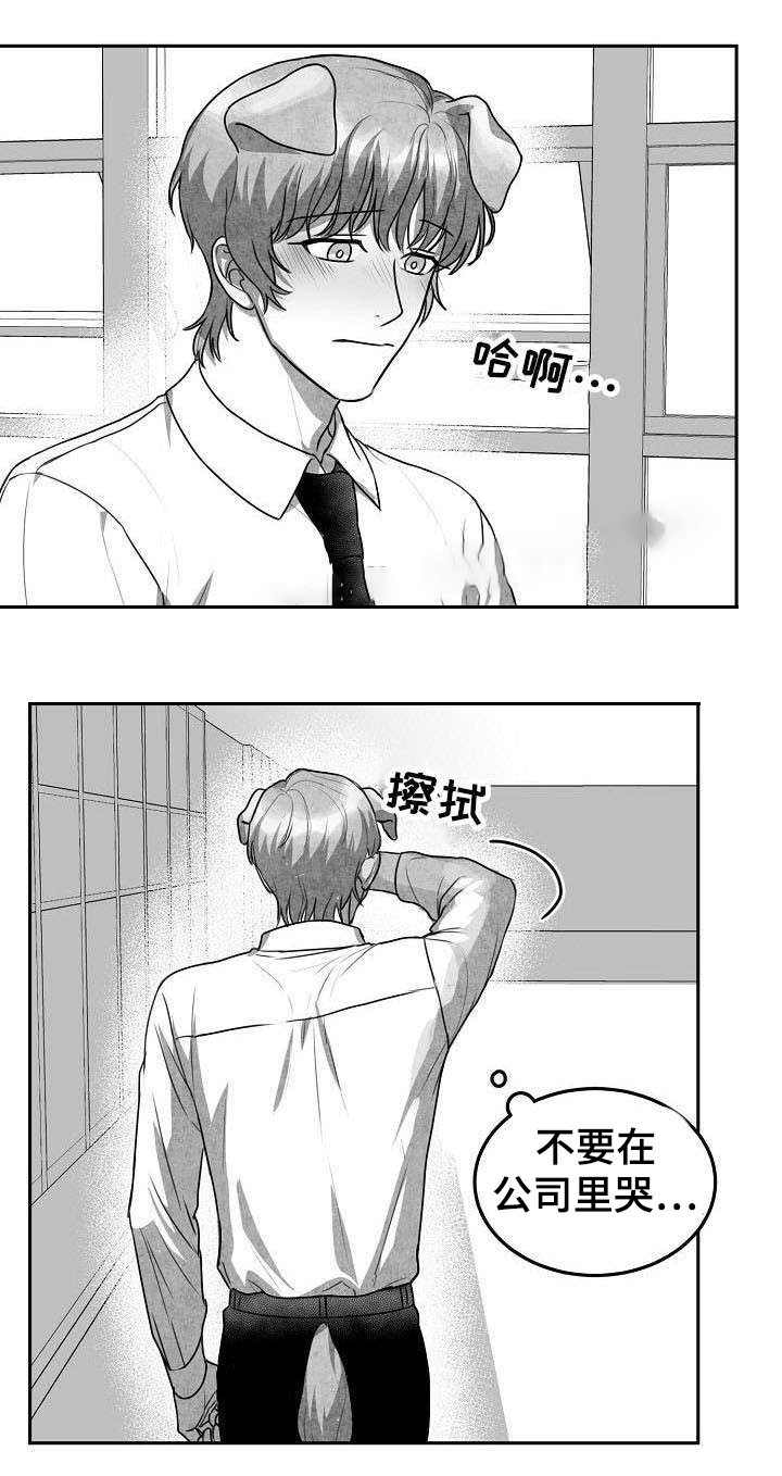 《为爱而狂》漫画最新章节第20话免费下拉式在线观看章节第【3】张图片