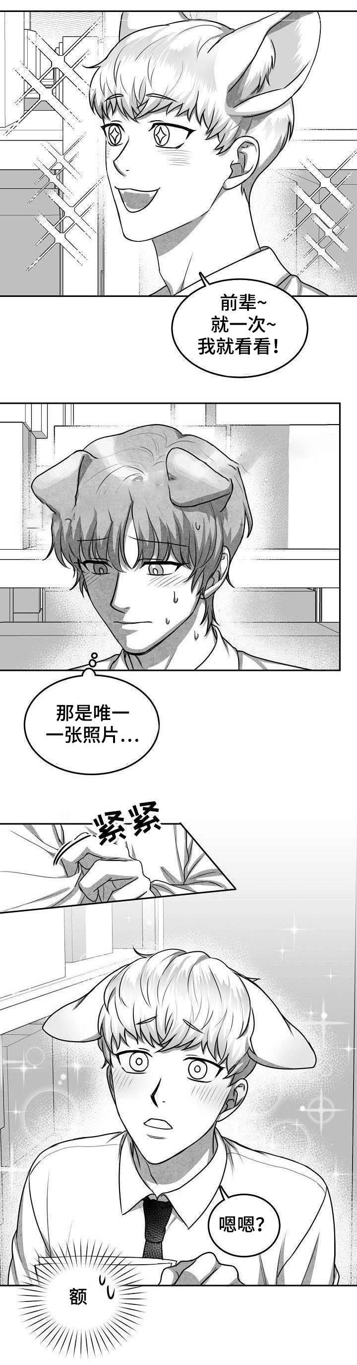 《为爱而狂》漫画最新章节第19话免费下拉式在线观看章节第【5】张图片