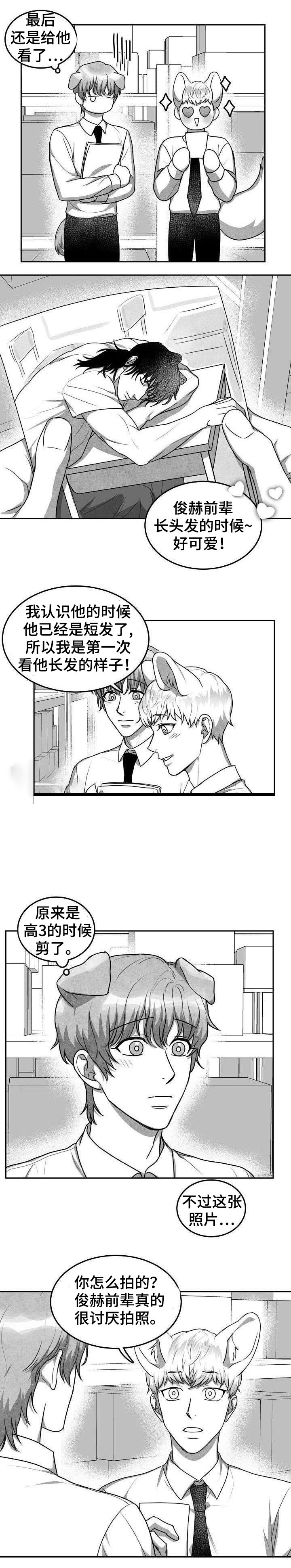 《为爱而狂》漫画最新章节第19话免费下拉式在线观看章节第【6】张图片