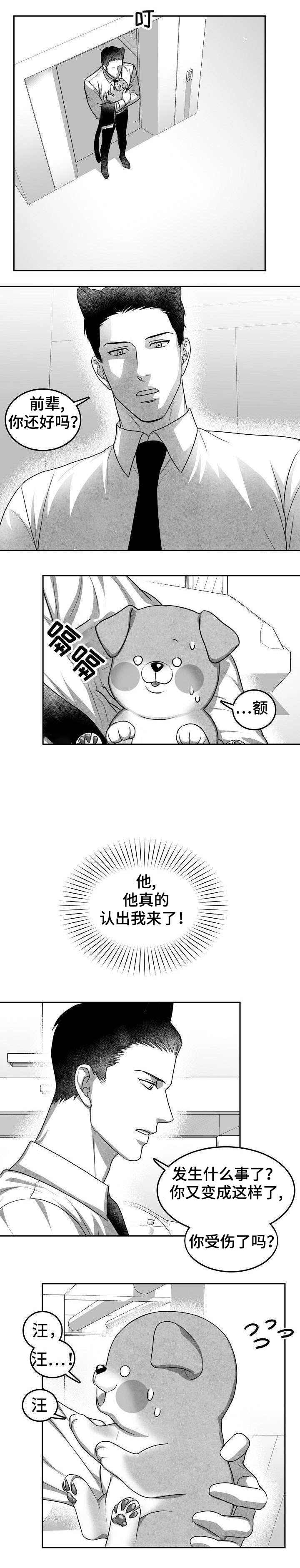 《为爱而狂》漫画最新章节第21话免费下拉式在线观看章节第【4】张图片