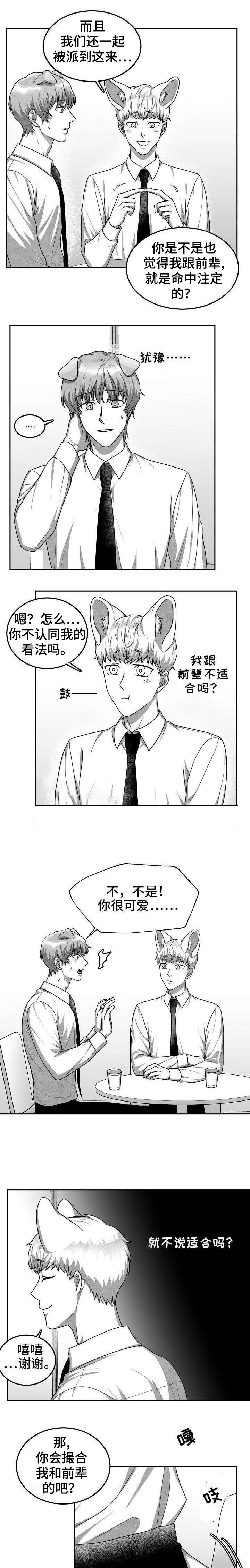 《为爱而狂》漫画最新章节第23话免费下拉式在线观看章节第【3】张图片