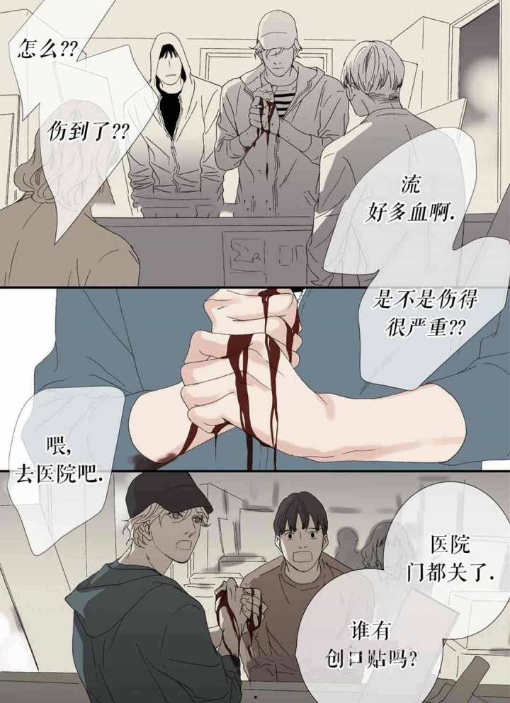 《野兽都该死》漫画最新章节第77话免费下拉式在线观看章节第【3】张图片