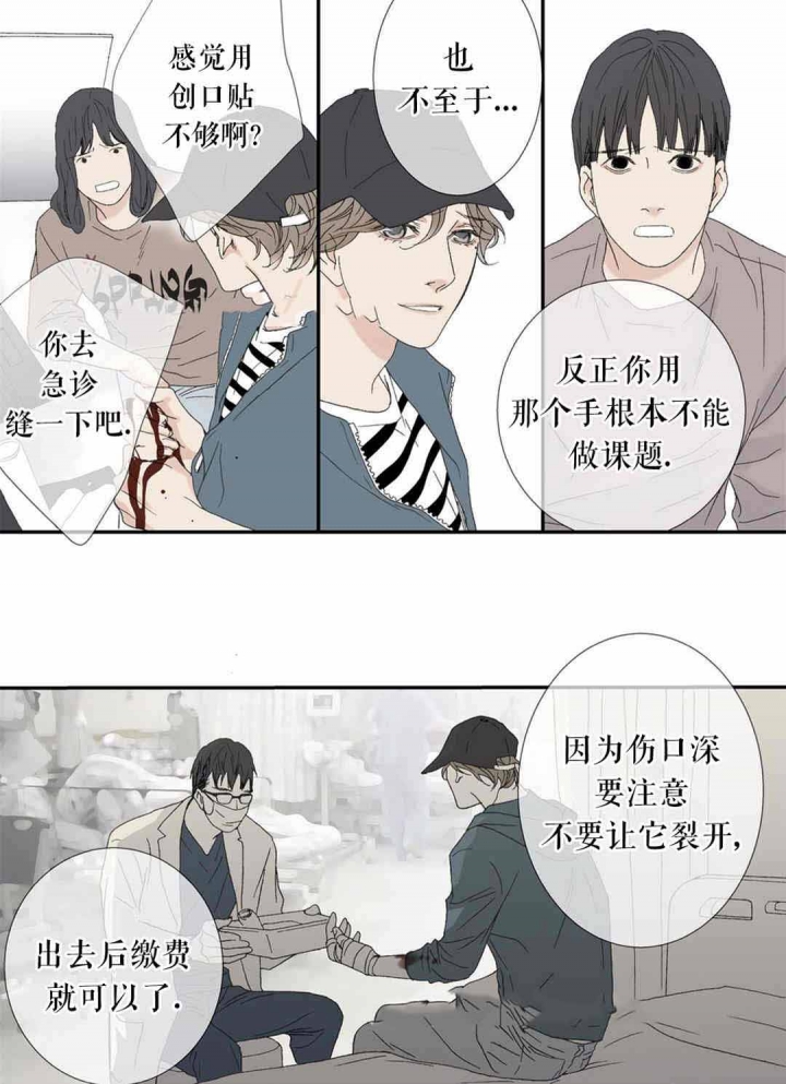 《野兽都该死》漫画最新章节第77话免费下拉式在线观看章节第【5】张图片