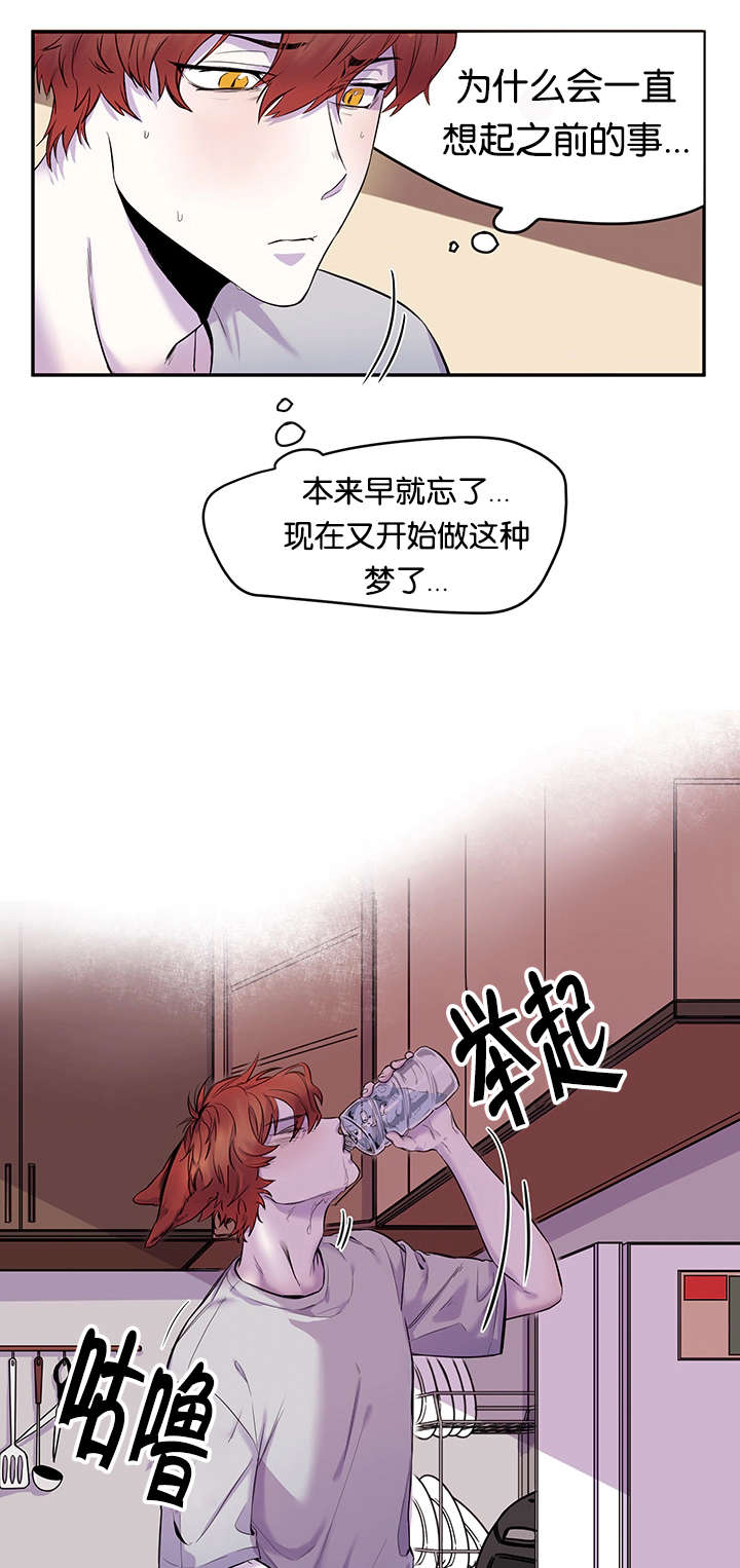 《狐狸的天性》漫画最新章节第19话免费下拉式在线观看章节第【33】张图片