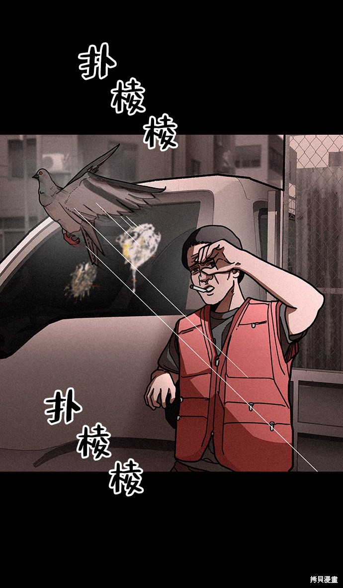 《捕食动物》漫画最新章节第16话免费下拉式在线观看章节第【66】张图片