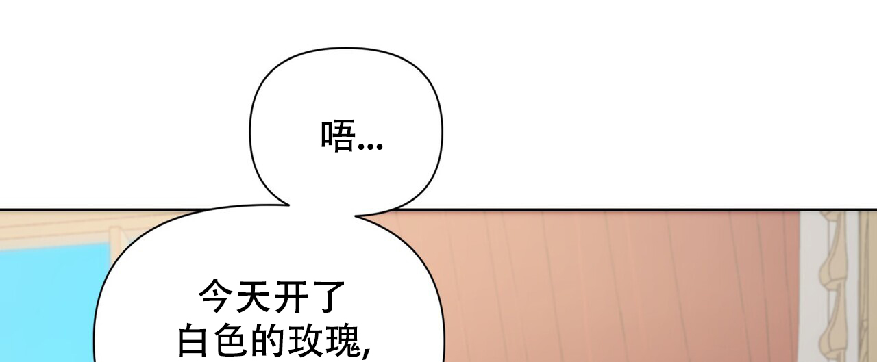 《走进玫瑰园》漫画最新章节第3话免费下拉式在线观看章节第【8】张图片