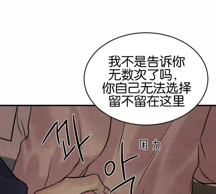 《秘戏图 (第 I-Ⅳ季)》漫画最新章节第176话免费下拉式在线观看章节第【21】张图片