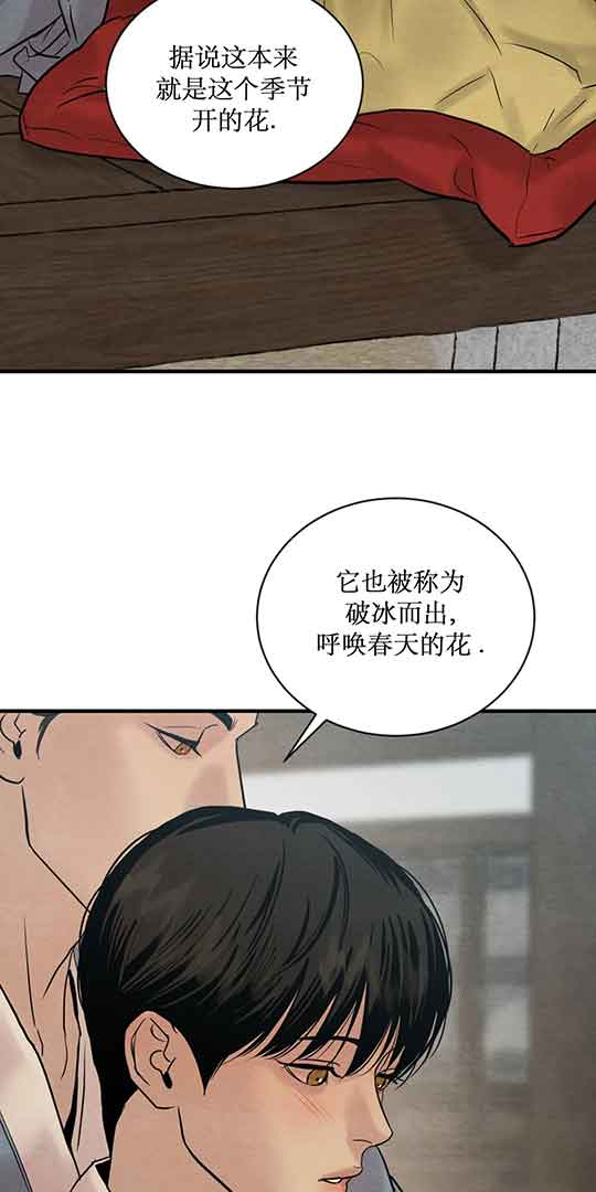 《秘戏图 (第 I-Ⅳ季)》漫画最新章节第215话免费下拉式在线观看章节第【29】张图片