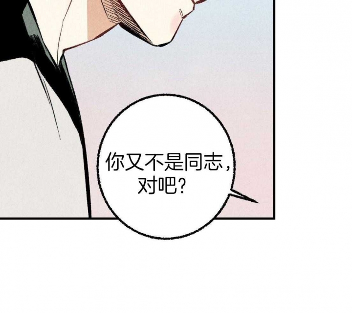 《完美密友》漫画最新章节第33话免费下拉式在线观看章节第【16】张图片