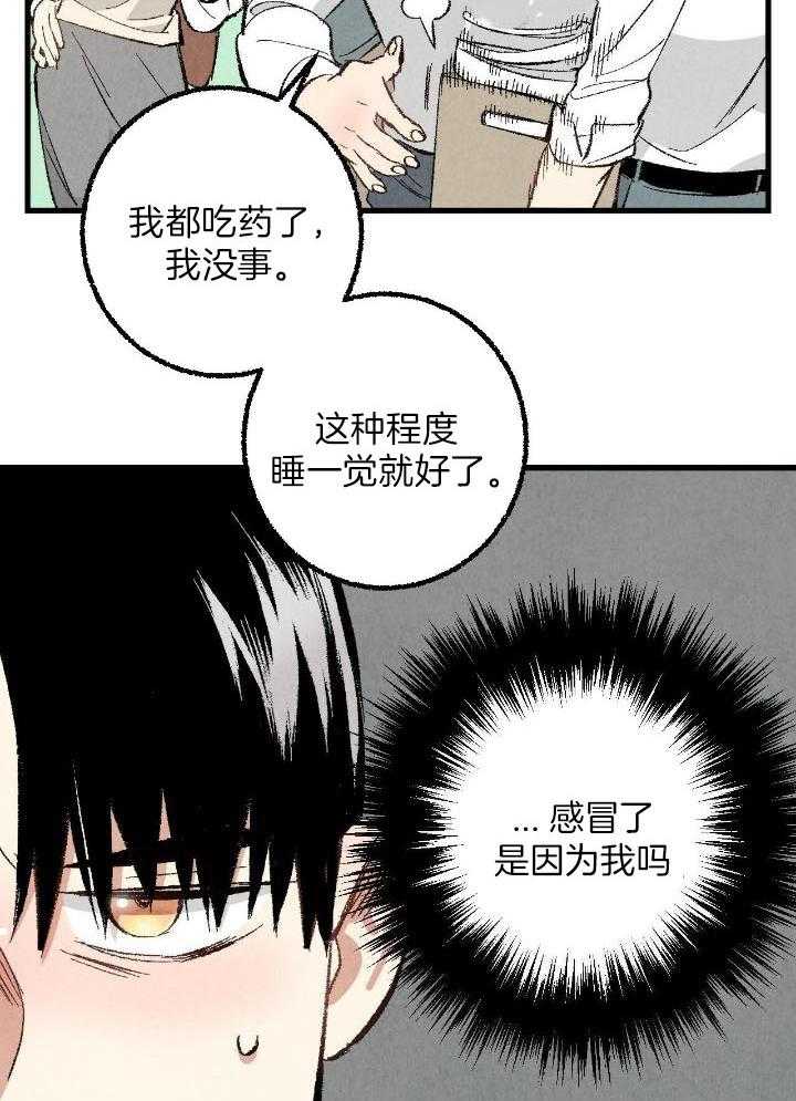 《完美密友》漫画最新章节第71话免费下拉式在线观看章节第【29】张图片