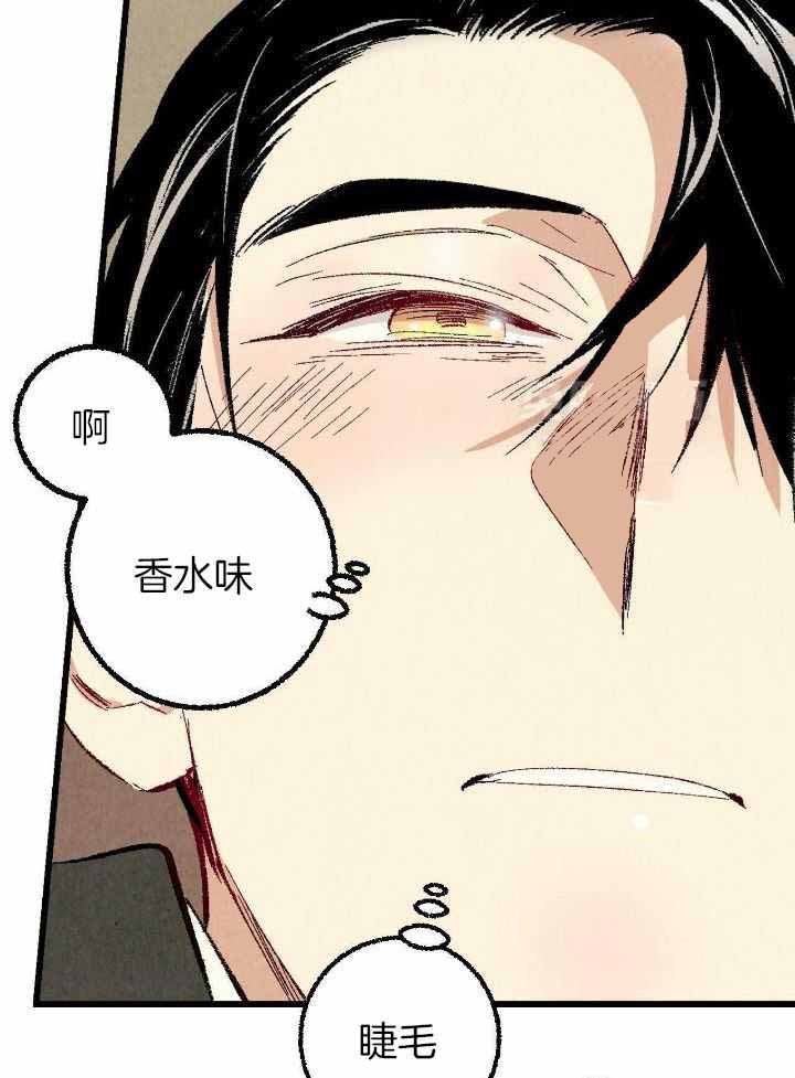 《完美密友》漫画最新章节第81话免费下拉式在线观看章节第【28】张图片