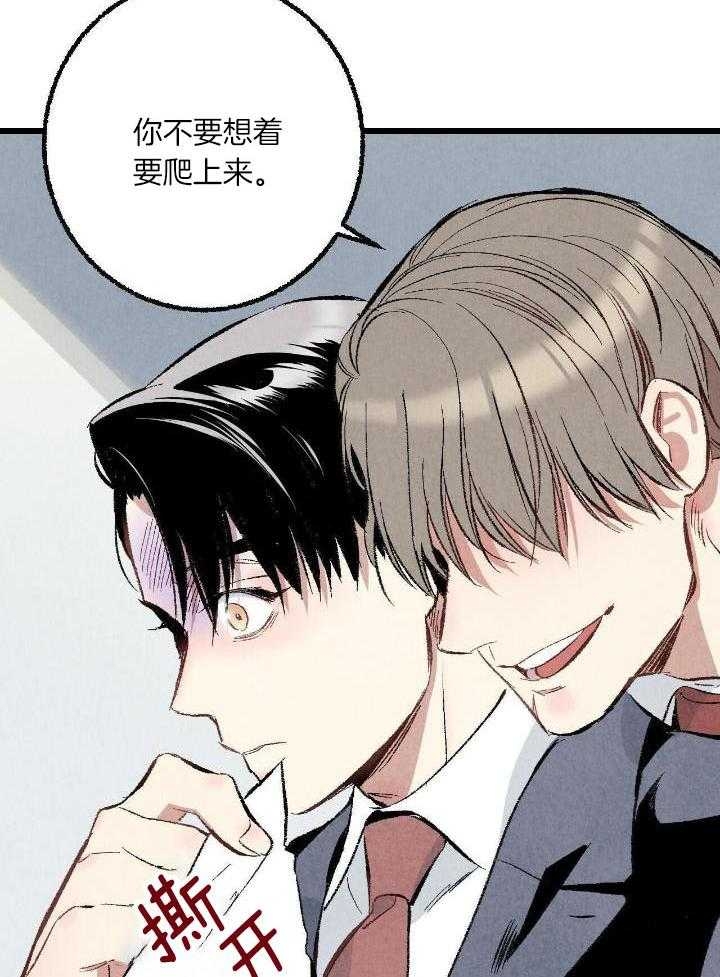 《完美密友》漫画最新章节第59话免费下拉式在线观看章节第【28】张图片