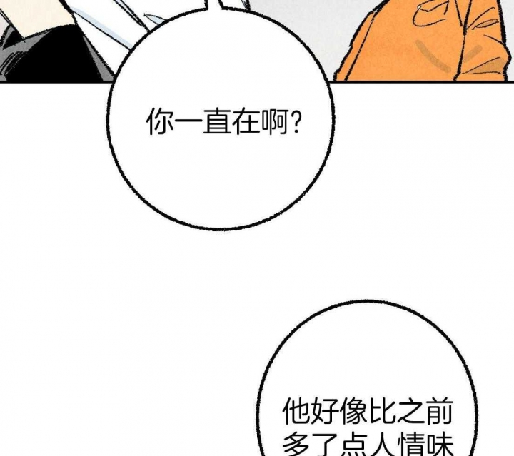 《完美密友》漫画最新章节第33话免费下拉式在线观看章节第【24】张图片