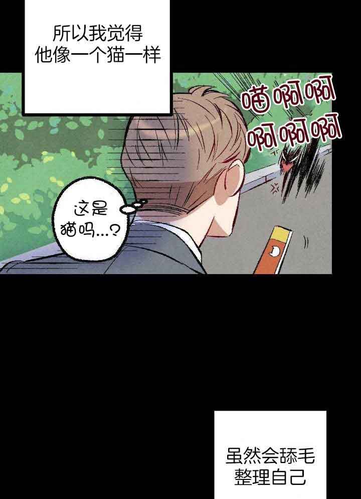 《完美密友》漫画最新章节第77话免费下拉式在线观看章节第【9】张图片