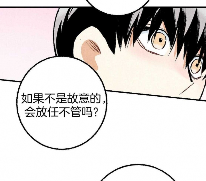 《完美密友》漫画最新章节第29话免费下拉式在线观看章节第【7】张图片