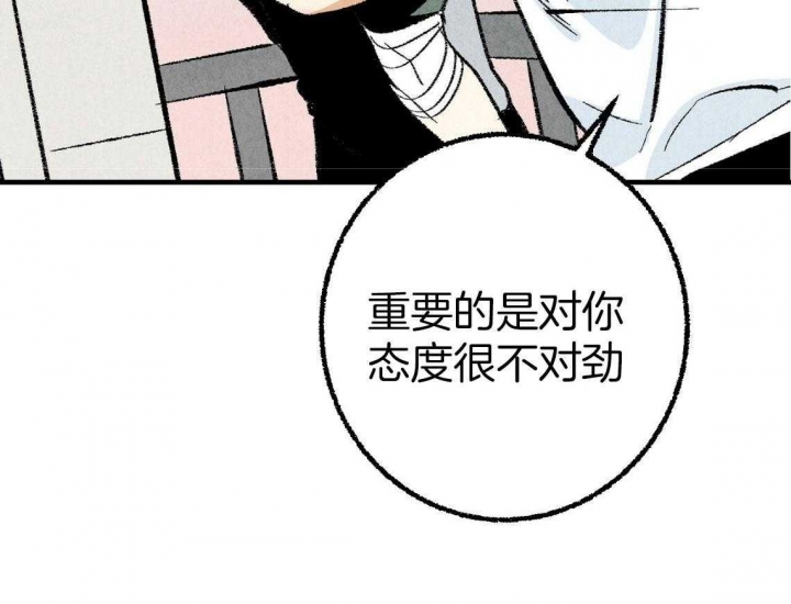 《完美密友》漫画最新章节第33话免费下拉式在线观看章节第【3】张图片