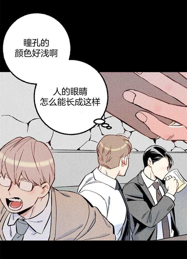 《完美密友》漫画最新章节第49话免费下拉式在线观看章节第【15】张图片