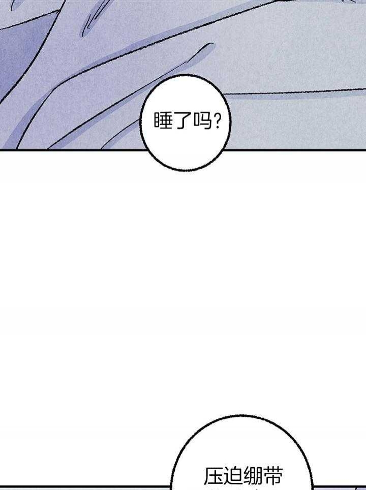 《完美密友》漫画最新章节第35话免费下拉式在线观看章节第【33】张图片