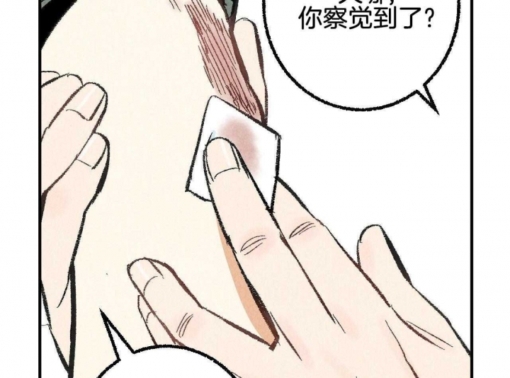 《完美密友》漫画最新章节第28话免费下拉式在线观看章节第【13】张图片