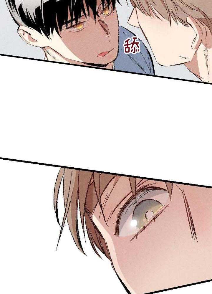 《完美密友》漫画最新章节第76话免费下拉式在线观看章节第【22】张图片