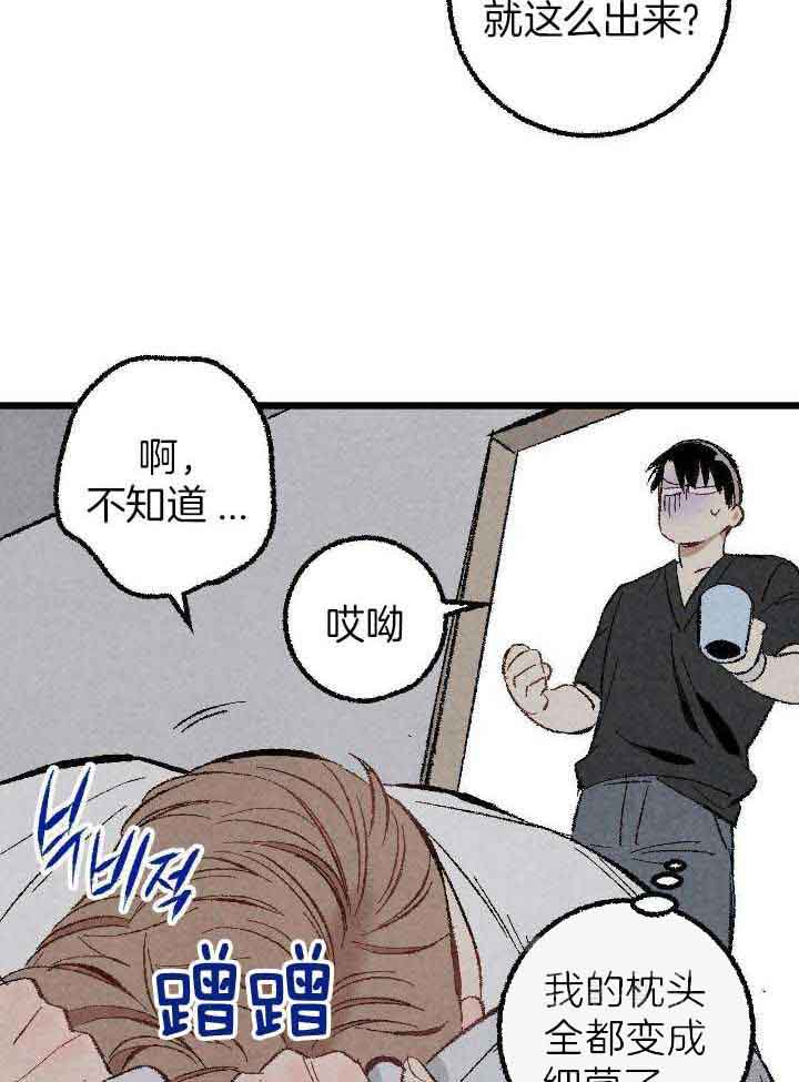 《完美密友》漫画最新章节第74话免费下拉式在线观看章节第【13】张图片