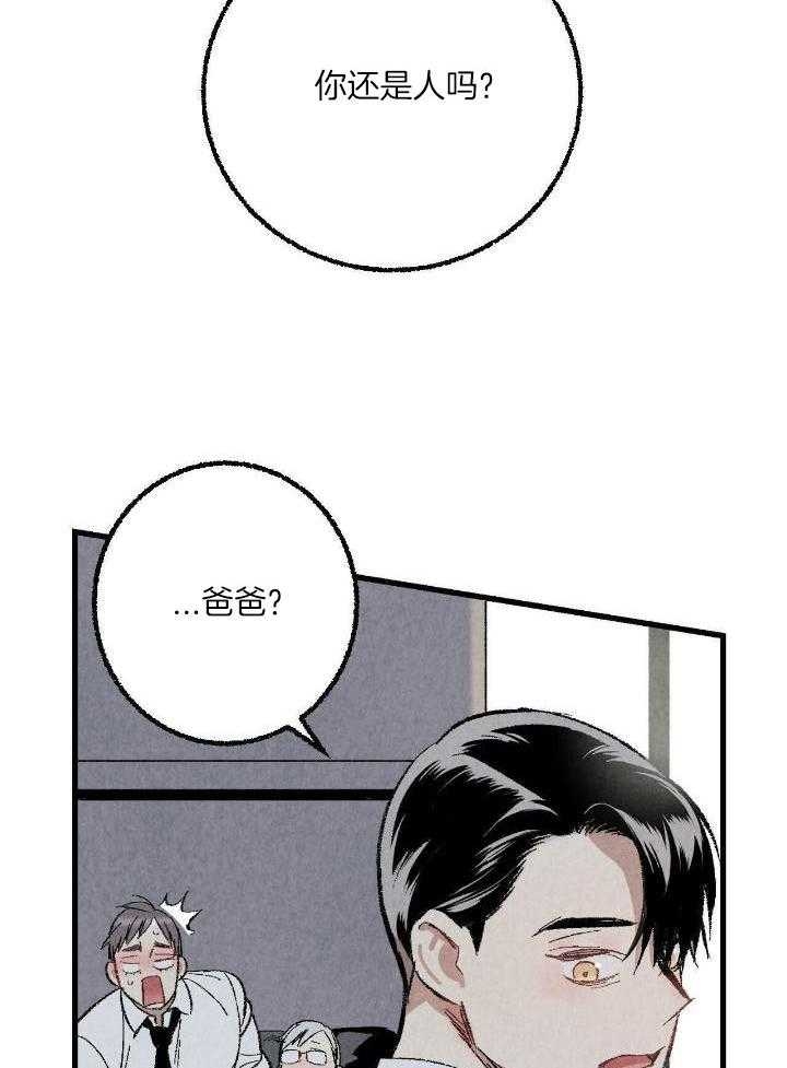 《完美密友》漫画最新章节第59话免费下拉式在线观看章节第【19】张图片