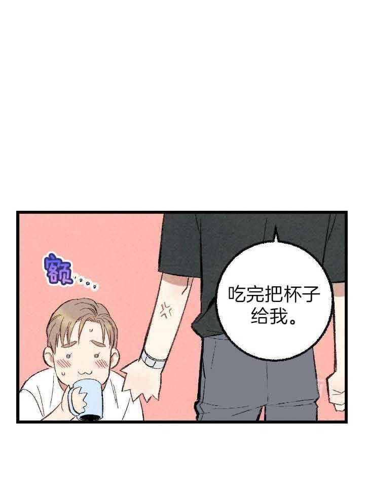 《完美密友》漫画最新章节第74话免费下拉式在线观看章节第【17】张图片