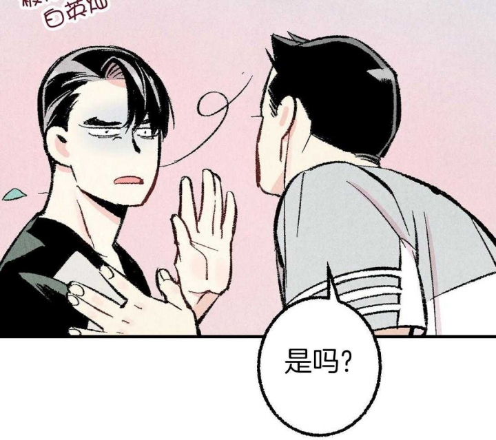 《完美密友》漫画最新章节第33话免费下拉式在线观看章节第【12】张图片