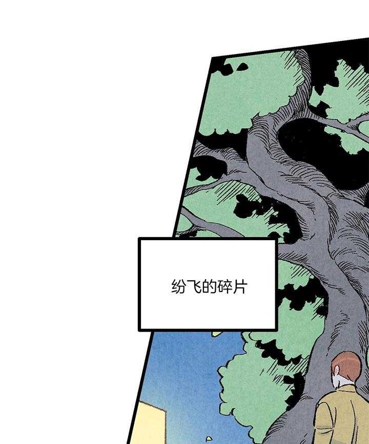 《完美密友》漫画最新章节第51话免费下拉式在线观看章节第【19】张图片