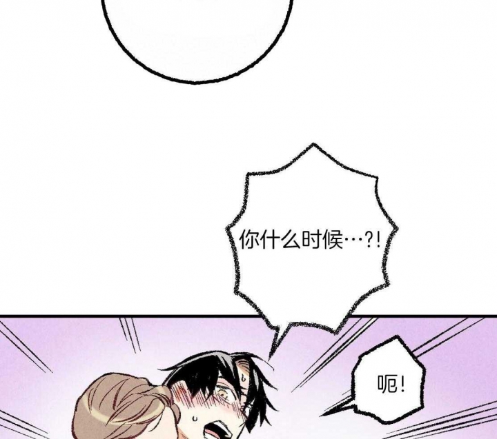 《完美密友》漫画最新章节第36话免费下拉式在线观看章节第【29】张图片