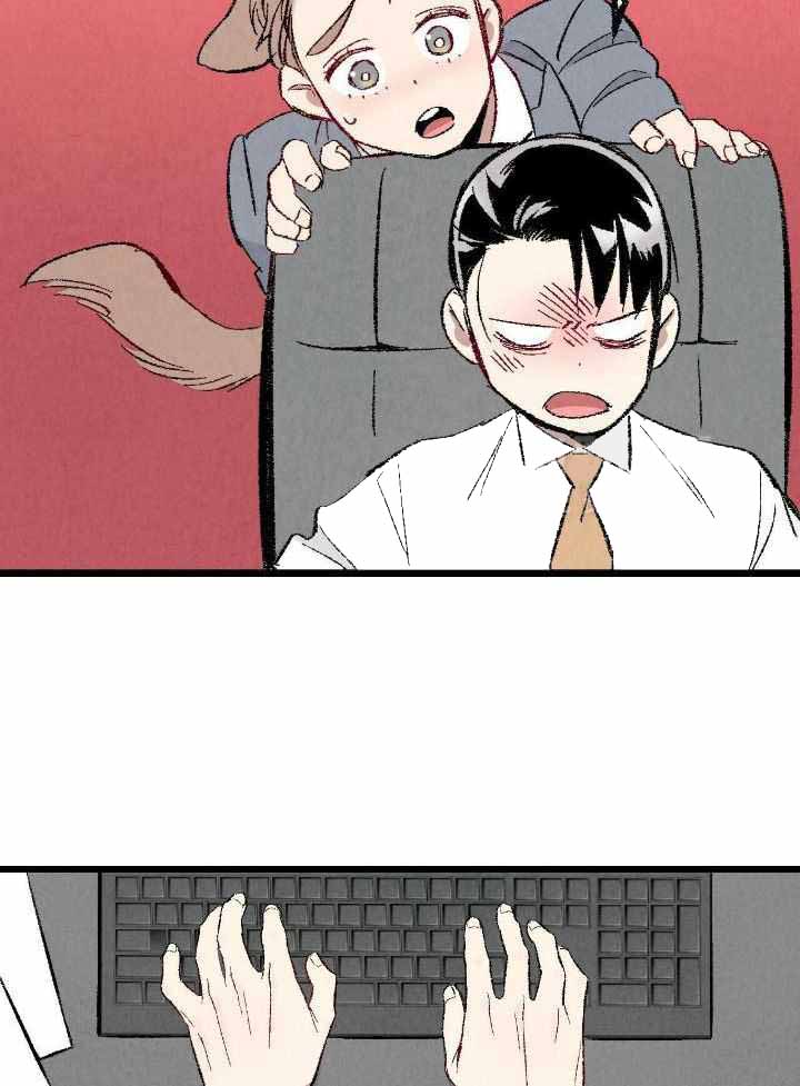 《完美密友》漫画最新章节第81话免费下拉式在线观看章节第【11】张图片