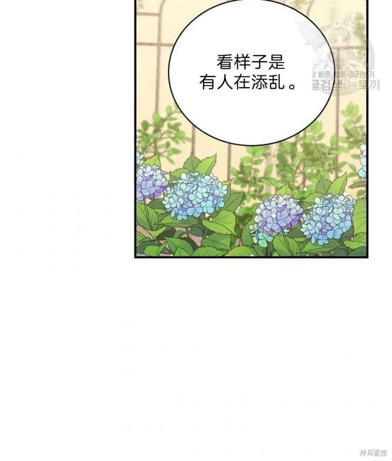 《琉璃温室的公爵夫人》漫画最新章节第18话免费下拉式在线观看章节第【74】张图片