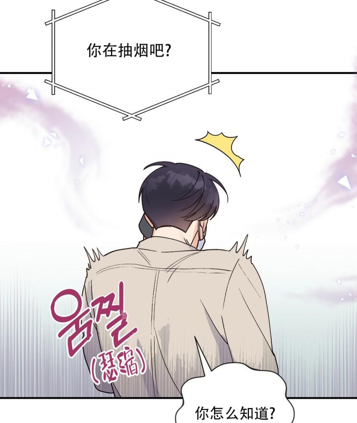 《欧米伽情结》漫画最新章节第29话免费下拉式在线观看章节第【8】张图片