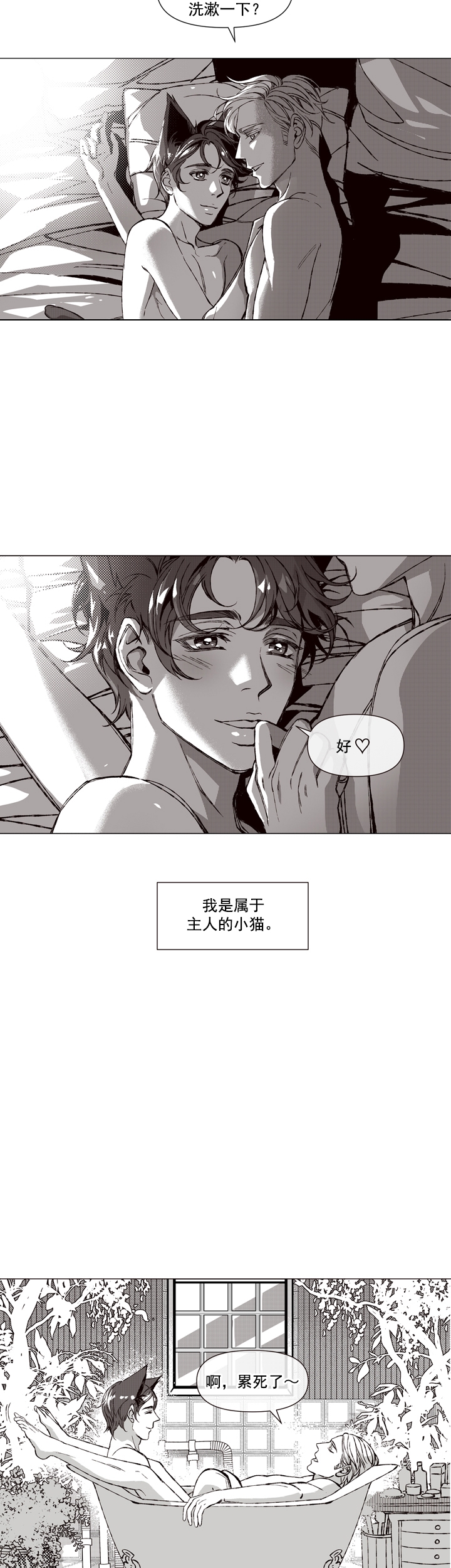 《我的猫管家》漫画最新章节第2话免费下拉式在线观看章节第【3】张图片