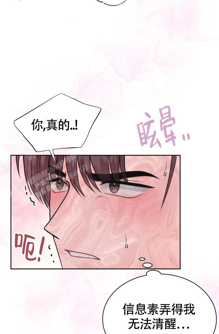 《信息素宝贝》漫画最新章节第7话免费下拉式在线观看章节第【11】张图片