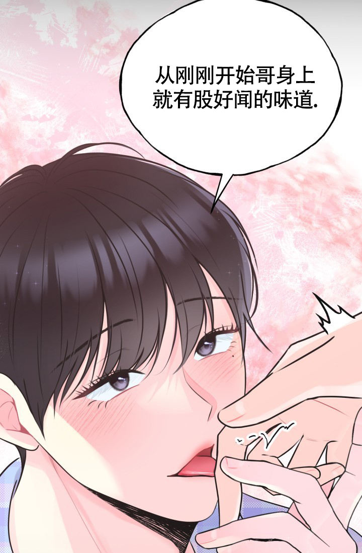 《信息素宝贝》漫画最新章节第2话免费下拉式在线观看章节第【11】张图片