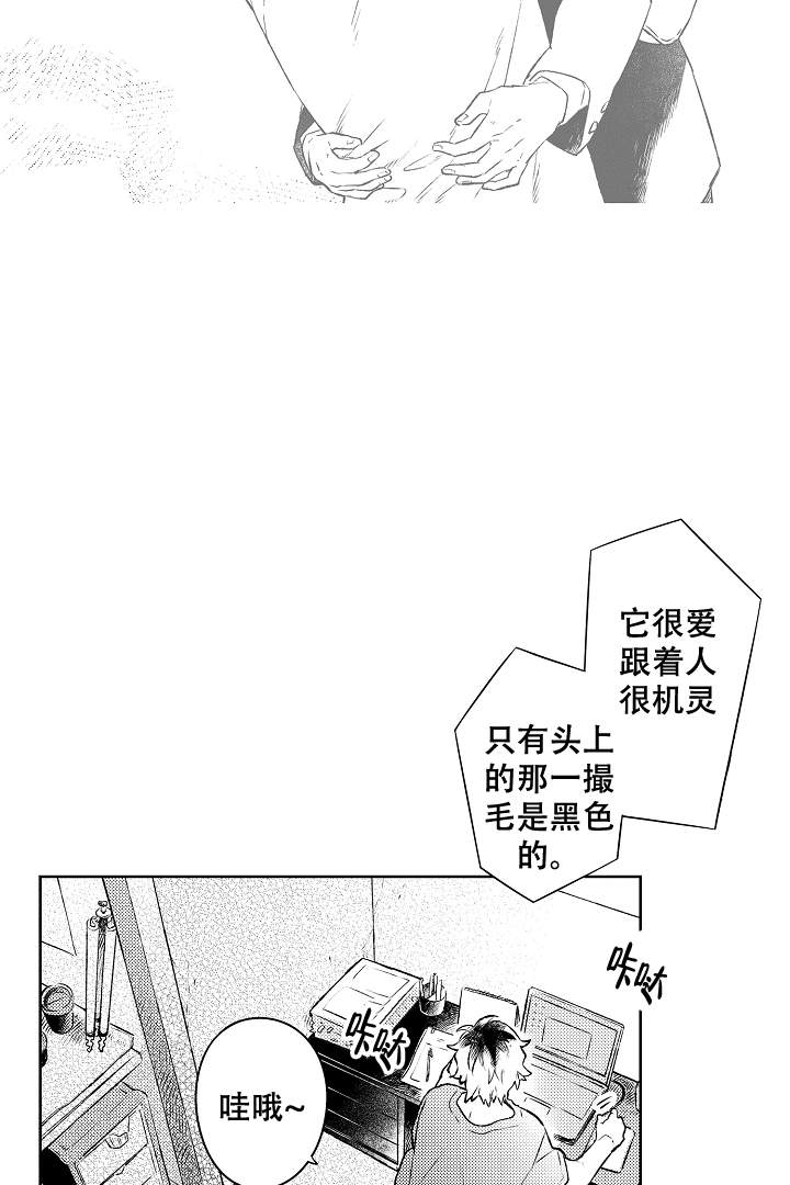 《让风拂过你的心》漫画最新章节第15话免费下拉式在线观看章节第【9】张图片