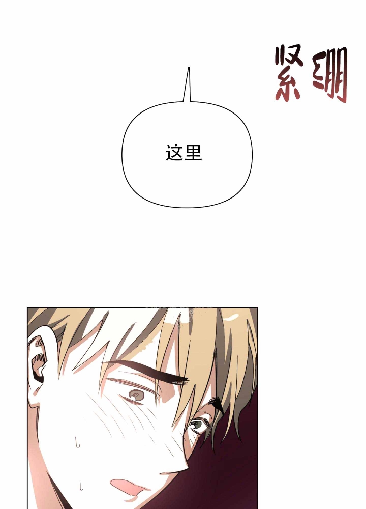 《以爱为鞭》漫画最新章节第4话免费下拉式在线观看章节第【14】张图片