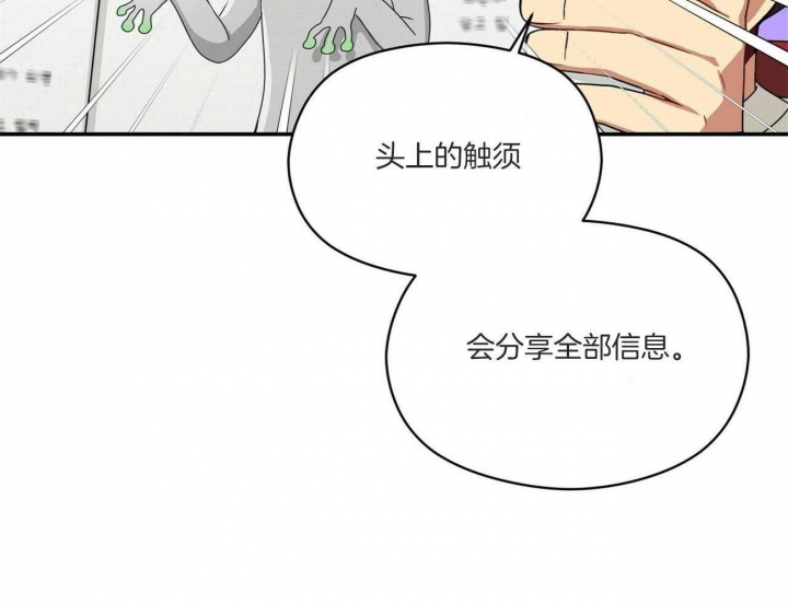 《奇怪的同居》漫画最新章节第19话免费下拉式在线观看章节第【75】张图片