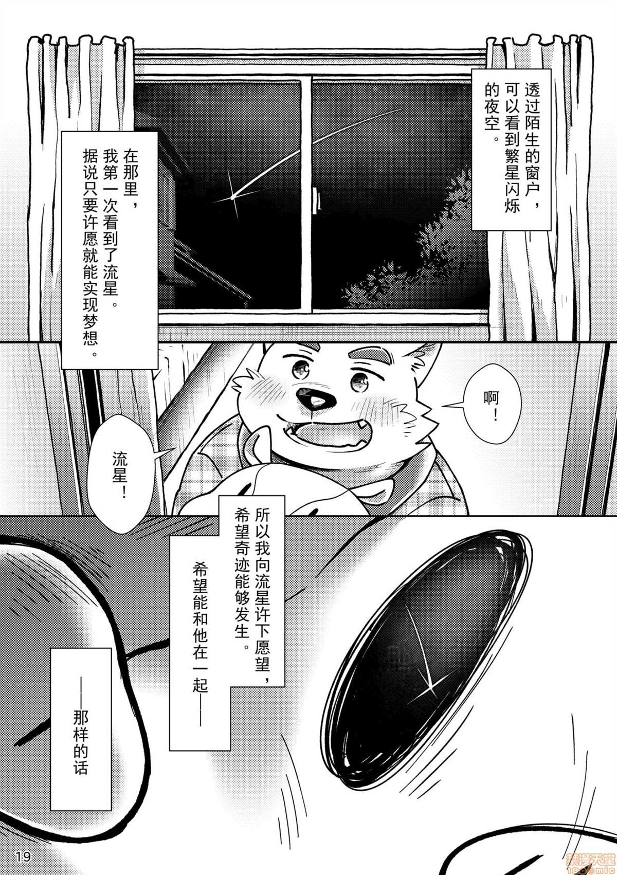 《流れ星》漫画最新章节短篇免费下拉式在线观看章节第【20】张图片