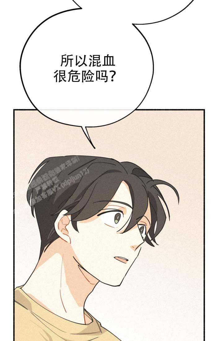 《摩尼珠》漫画最新章节第18话免费下拉式在线观看章节第【25】张图片