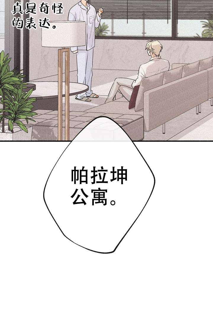 《摩尼珠》漫画最新章节第3话免费下拉式在线观看章节第【42】张图片