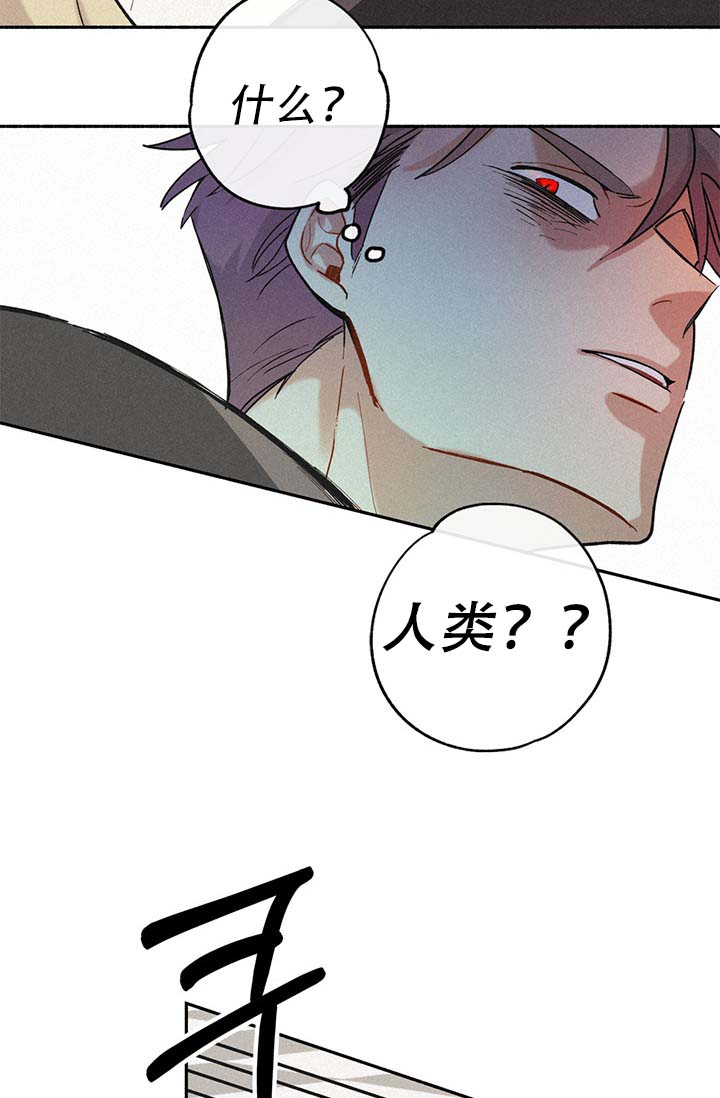 《摩尼珠》漫画最新章节第2话免费下拉式在线观看章节第【54】张图片